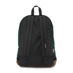 TYP7-Jansport-Right-Pack-PineGrove-31R-Variacao3