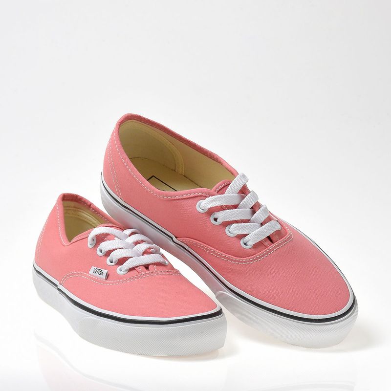 Vans cores 2024