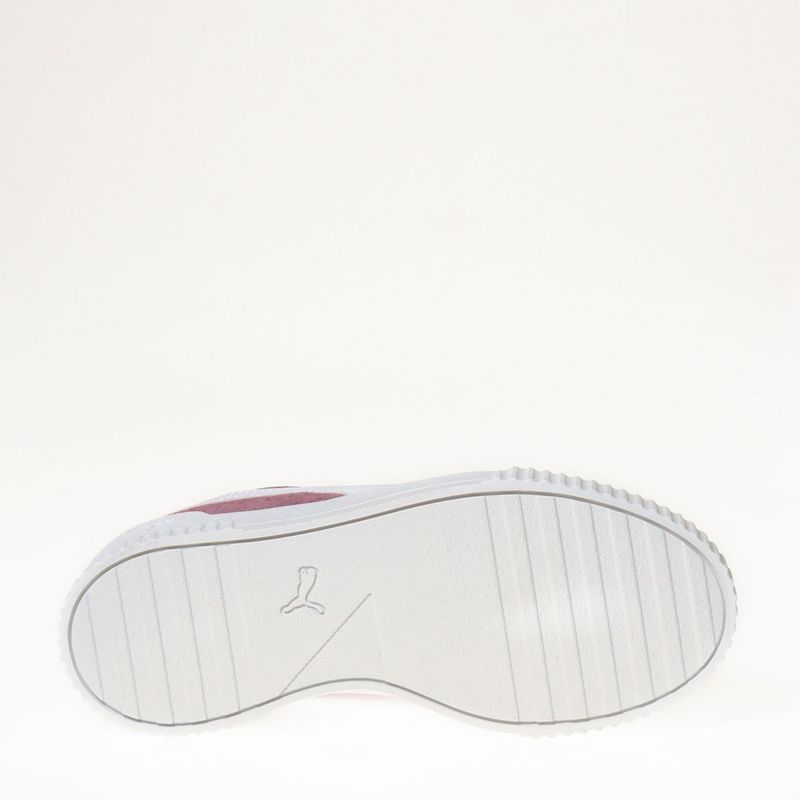Puma carina elderberry best sale