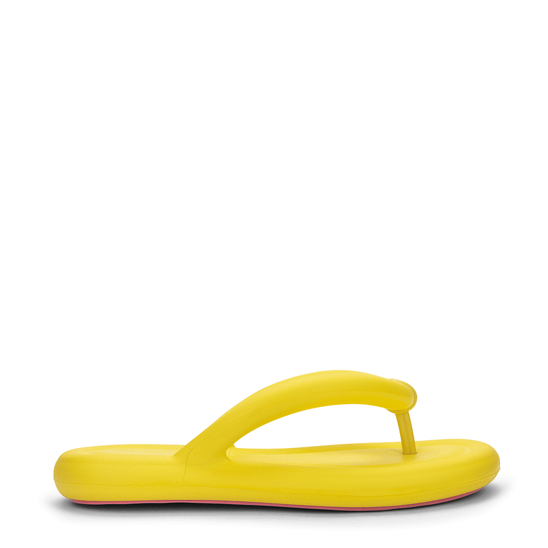 33531-MELISSA-FLIP-FLOP-FREE-AD-ROSA-AMARELO-VARIACAO1