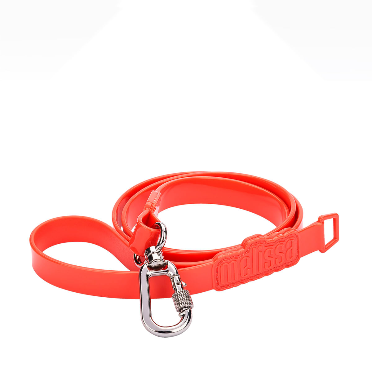 Dog sale leash buckle