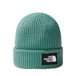 3FJW6R7---Gorro-The-North-Face-Salty-Dog-Verde-01