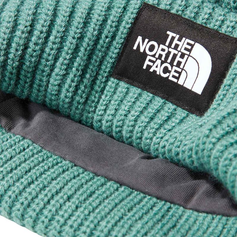 3FJW6R7---Gorro-The-North-Face-Salty-Dog-Verde-03