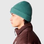 3FJW6R7---Gorro-The-North-Face-Salty-Dog-Verde-05