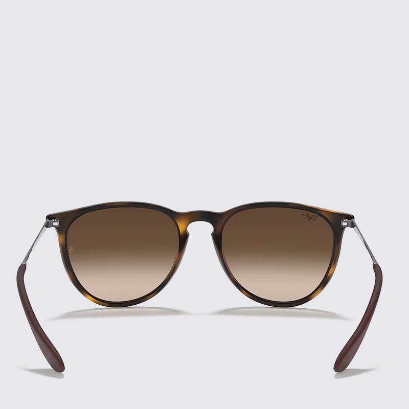 Ray ban erika tortoise sales sunglasses