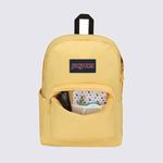 4QUTEW8-Mochila-Jansport-Superbreak-Sun-Shimmer-Variacao05