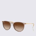 RB4171-674413-Oculos-de-Sol-Ray-Ban-Erika-Classic-TAM-54-Variacao02