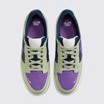 DV5476300-Tenis-Nike-SB-Force-58-Premium-variacao4