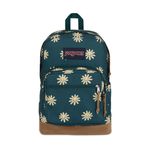 4QVAGI4-Mochila-Jansport-Right-Pack-Sun-Buddy-Deep-Juniper-variacao1