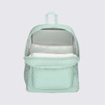 4QUAGK7-Mochila-Jansport-Superbreak-Plus-FX-Fresh-Mint-Daisy-Daydream-variacao5.jpg