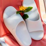 Free-Print-Slide-Bege-33973---1