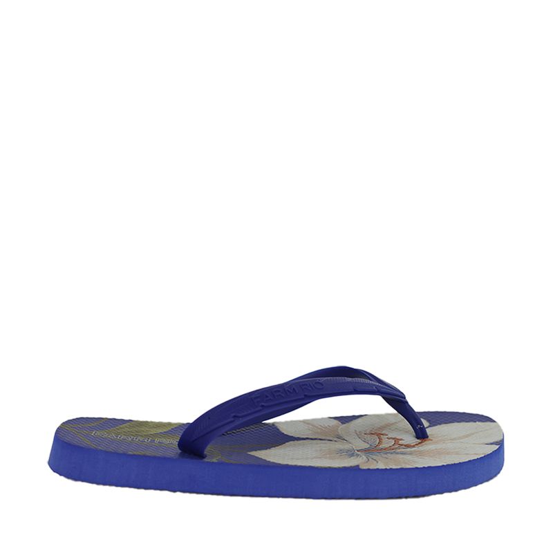 J1008800250005-Chinelo-Farm-Flip-Flop-Jangada-Print-Azul-Variacao1.jpg