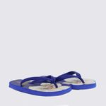 J1008800250005-Chinelo-Farm-Flip-Flop-Jangada-Print-Azul-Variacao4.jpg