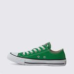 Tenis-Converse-Chuck-Taylor-All-Star-Verde-Floresta-CT00100007-variacao2.jpg