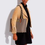 C0692B4CBD-Bolsa-Willow-Tote-Coach-Marrom-variacao5.jpg