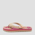 J1006000220006-Chinelo-Farm-Rainbow-Print-Bege-variacao2.jpg