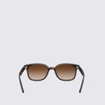 RB4461D71013-Oculos-de-Sol-Ray-Ban-RB4401D-TAM-64-variacao-03