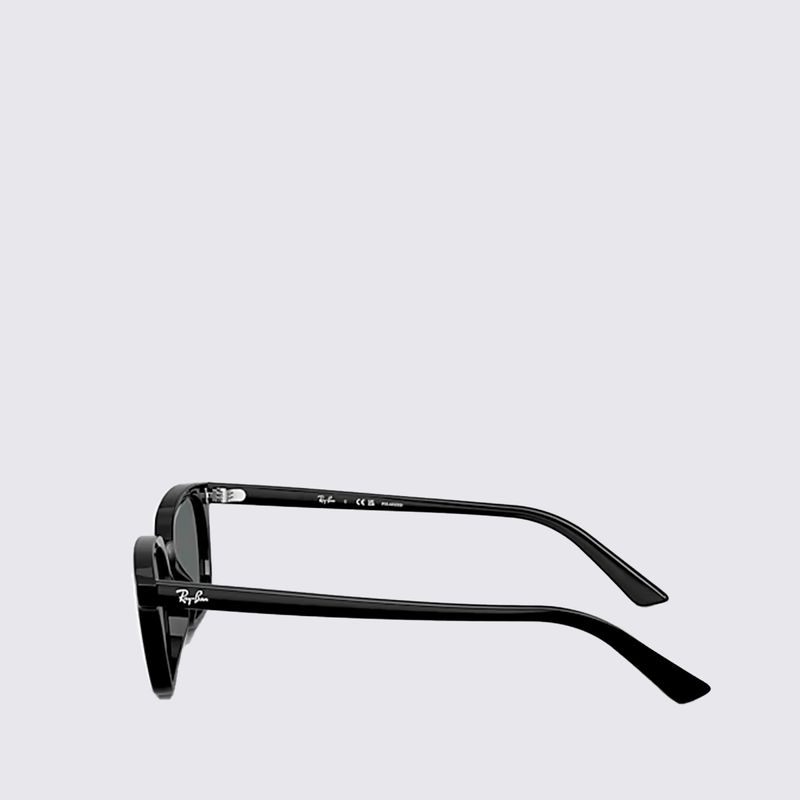 RB4456667781-Oculos-de-Sol-Ray-Ban-Zaya-Bio-Based-TAM-53-variacao-06