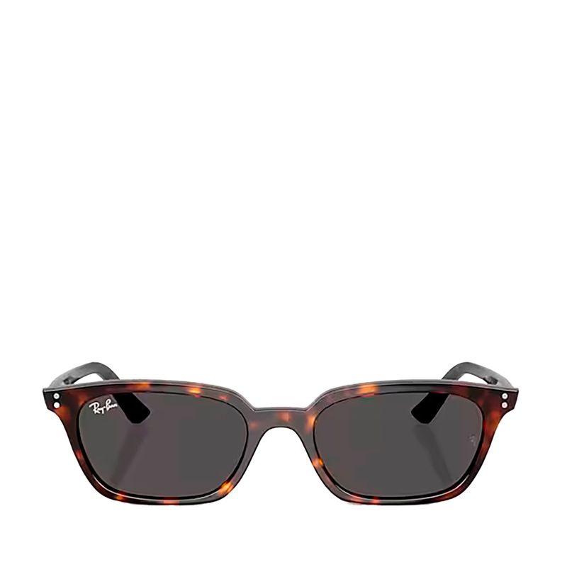 RB4456135987-Oculos-de-Sol-Ray-Ban-Zaya-Bio-Based-TAM-53-variacao1