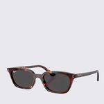 RB4456135987-Oculos-de-Sol-Ray-Ban-Zaya-Bio-Based-TAM-53-variacao2