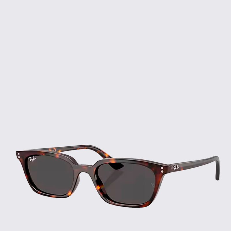 RB4456135987-Oculos-de-Sol-Ray-Ban-Zaya-Bio-Based-TAM-53-variacao2