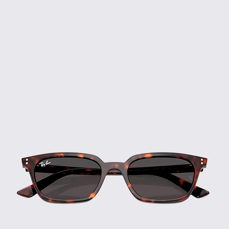 RB4456135987-Oculos-de-Sol-Ray-Ban-Zaya-Bio-Based-TAM-53-variacao3