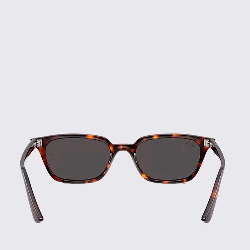 RB4456135987-Oculos-de-Sol-Ray-Ban-Zaya-Bio-Based-TAM-53-variacao5