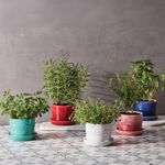 71302140900099--Vaso-para-Ervas-com-Bandeja-Le-Creuset-Laranja-variacao-04