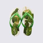 J1006000220013-Chinelo-Farm-Rainbow-Print-Floresta_v4