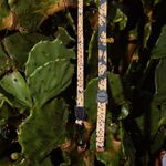 3552737895-Guia-Farm-Zeedog-Bananas-Variacao6